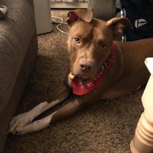 Meet your Posher, Logan